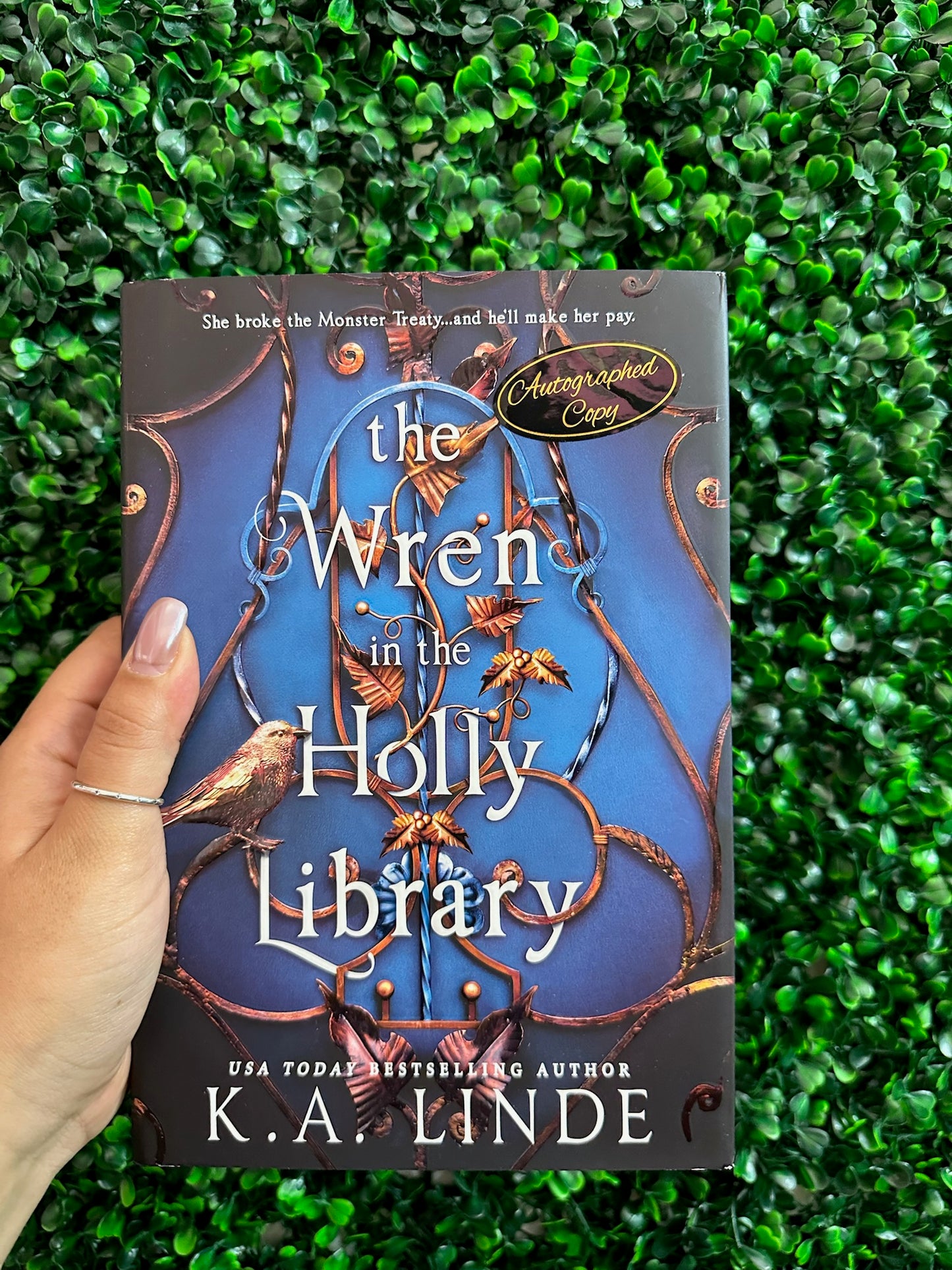 The Wren In The Holly Library