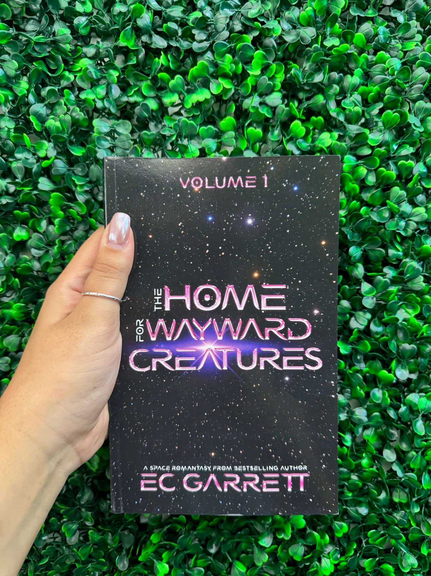 The Home for Wayward Creatures