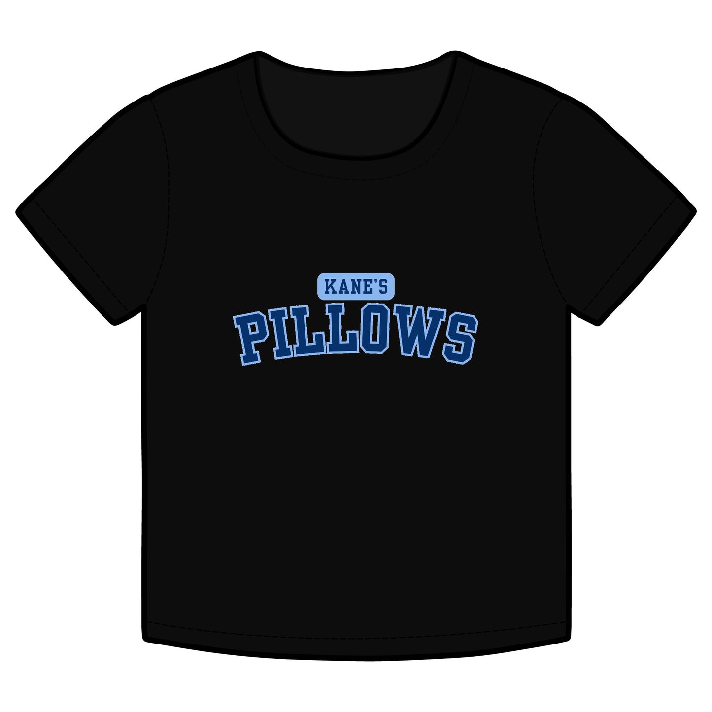 Kane's Pillows- The S.J. Sylvis Shop