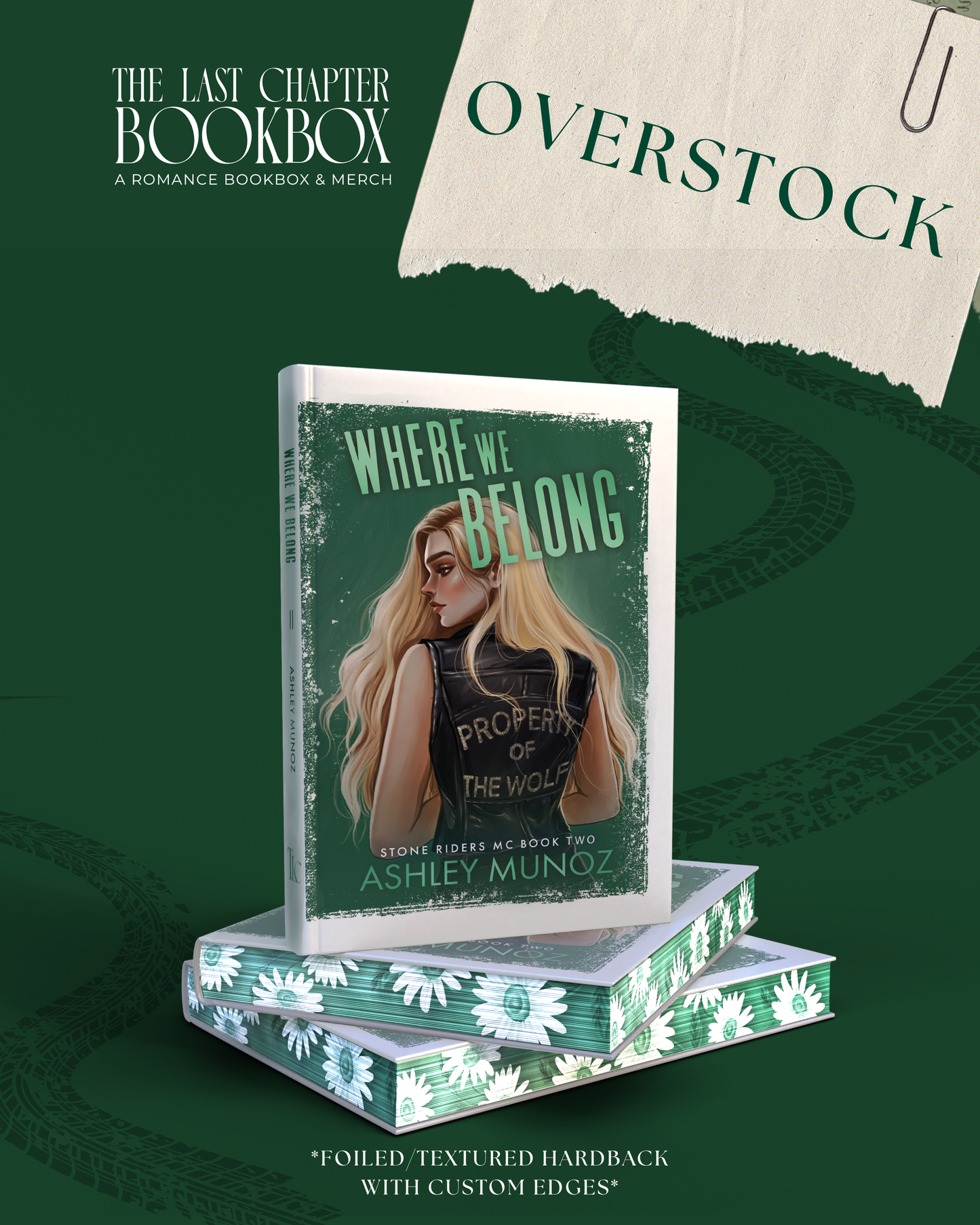 Overstock: Where We Belong by Ashley Munoz