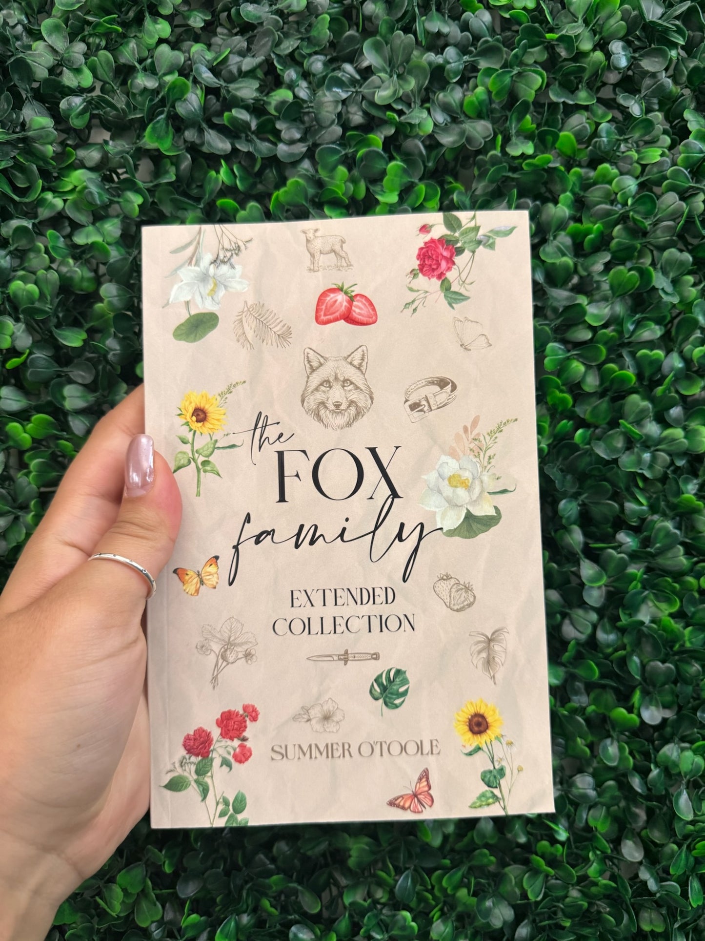 The Fox Family Extended Collection & Coloring Book