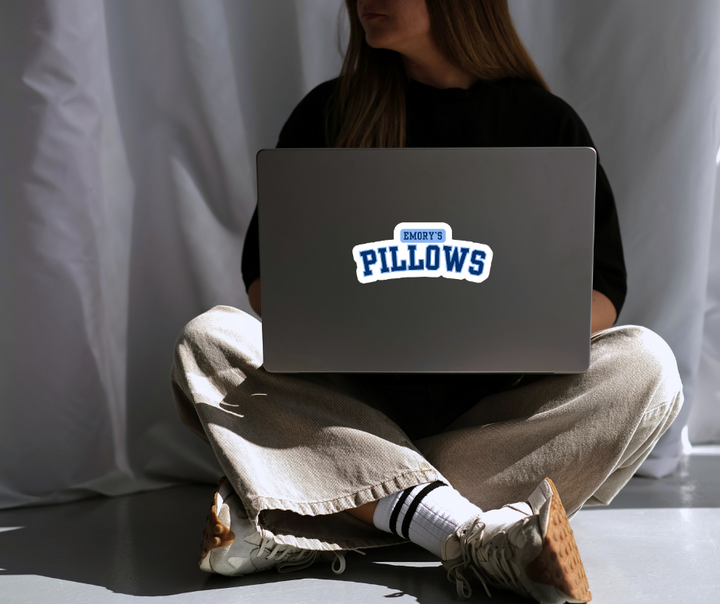 Emory's Pillows - The S.J. Sylvis Shop