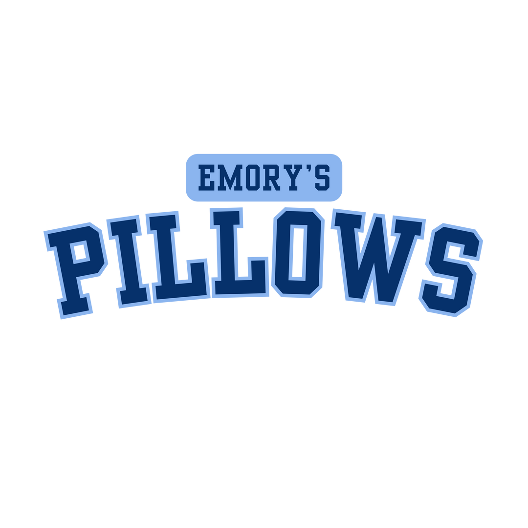 Emory's Pillows - The S.J. Sylvis Shop
