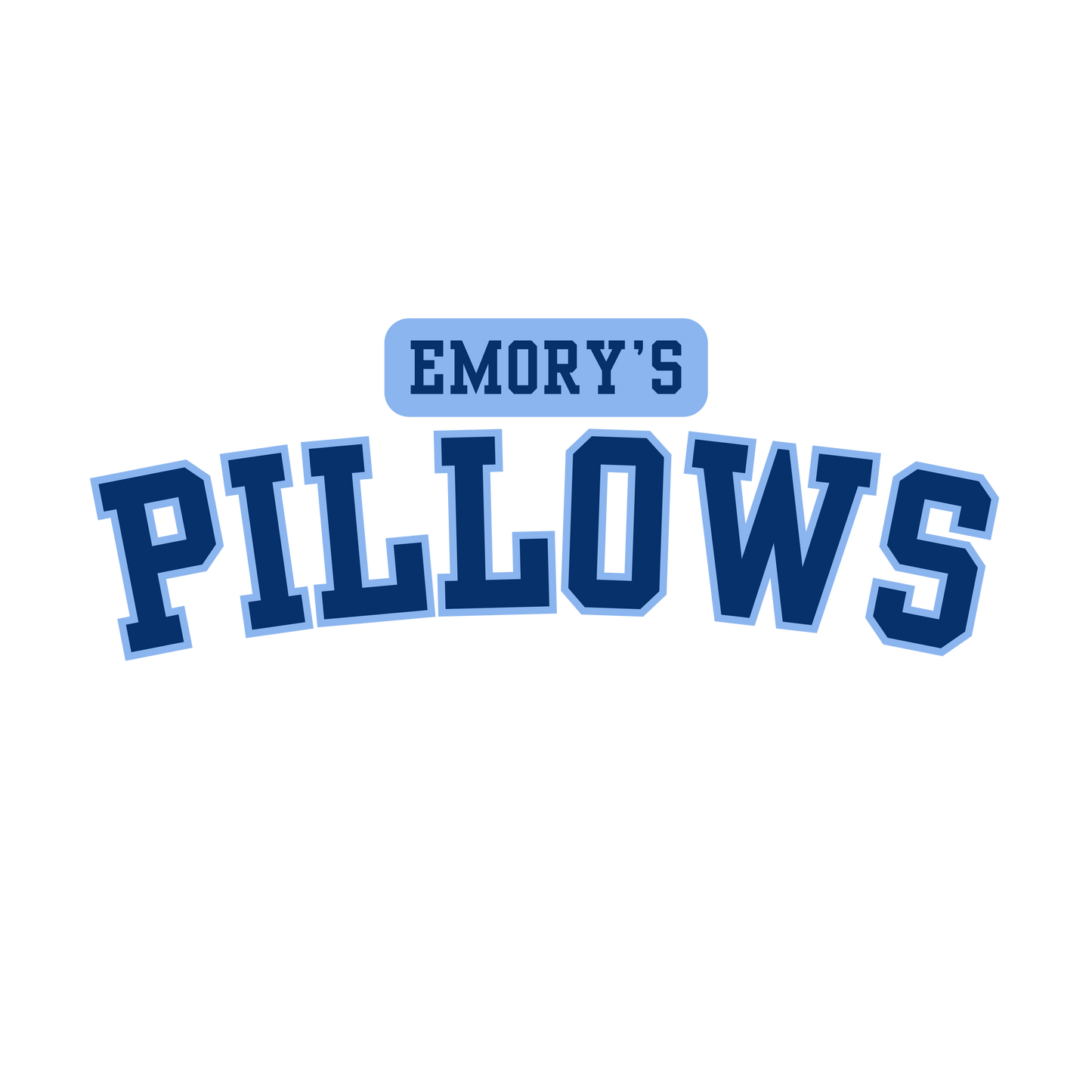 Emory's Pillows - The S.J. Sylvis Shop